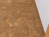 Укладка ковролина 80м2